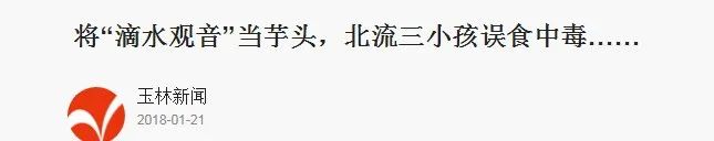 女子下雨咬叶子中毒,登山遇雨咬叶子挡雨中毒