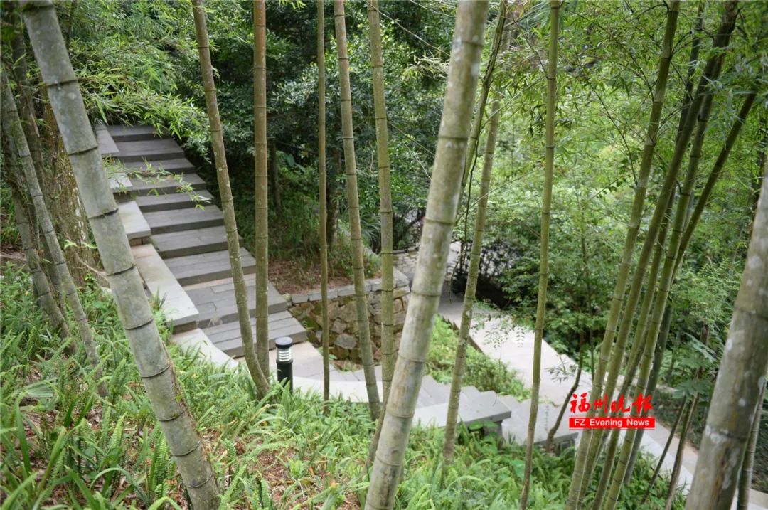 即将亮相福州这所公园大升级,福州最新的公园