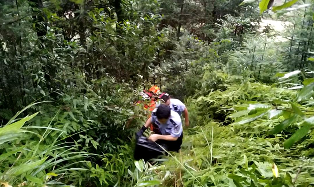 今明两天丽水新闻,丽水新闻今天