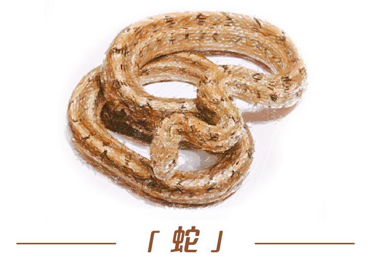 云南野生动物最新政策规定,云南野生动物保护最新情况