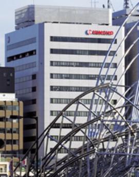 日本正宗蚊香,蚊香日本