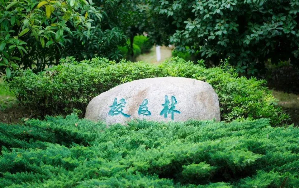 你好这里是成都,校园生活武汉科技大学