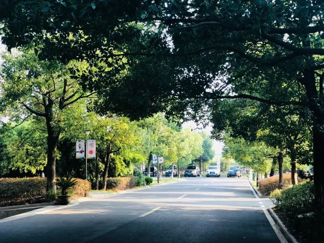 2020年衢州中考录取分数线公布,衢州市高中招生简章