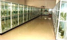 专业介绍中药学河北中医学院,中药学专业招聘