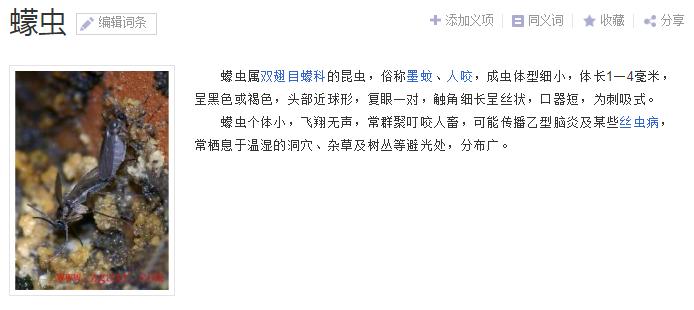 @海南人，看到这种黑色小虫躲远点…