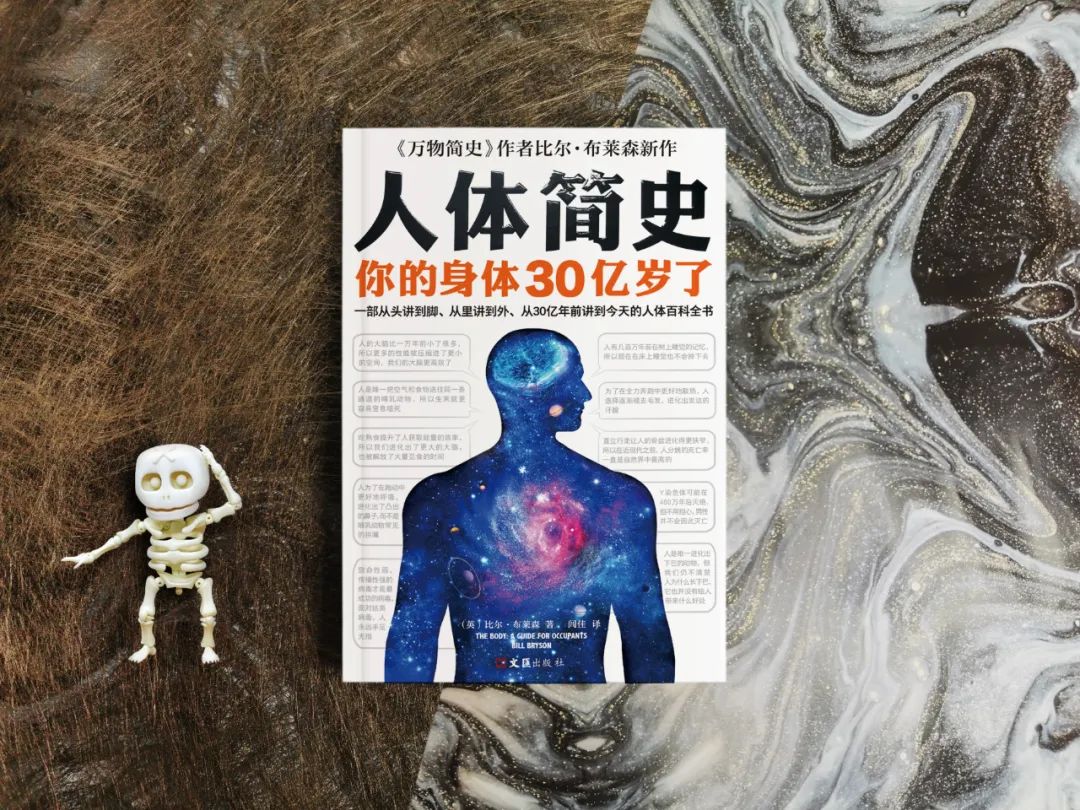 50个匪夷所思的冷知识,人体小知识冷知识