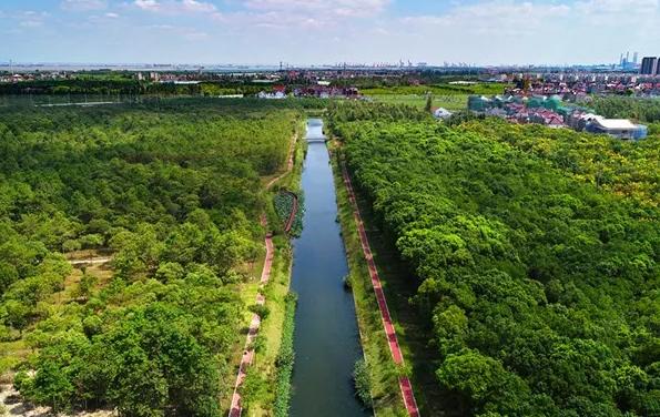 上海宝山：找准产业定位，寻求差异化发展，都市乡村振兴之路越走越宽