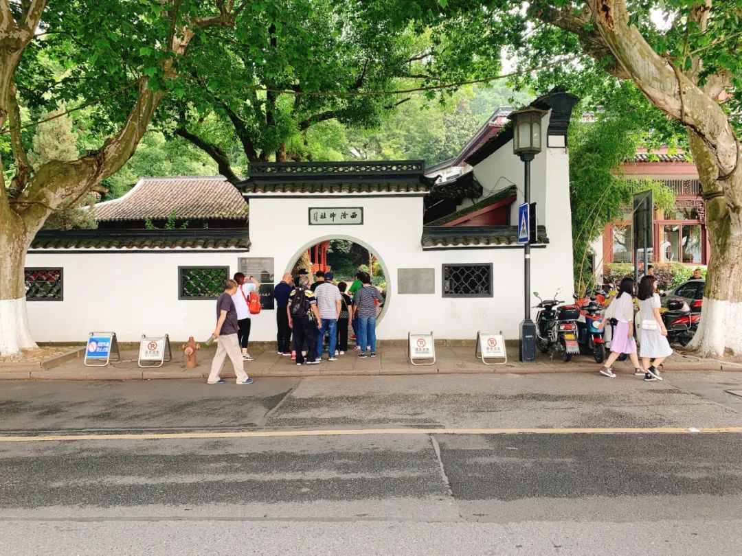 上半年经历了太多不尽人意的事,上半年过得很糟糕