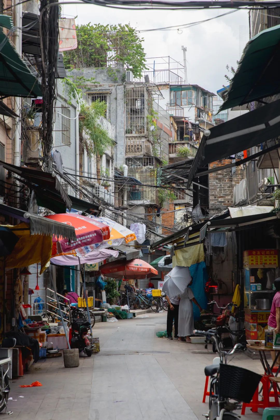 越秀区这条“木排头”,惊艳了岁月,却很少老广知道