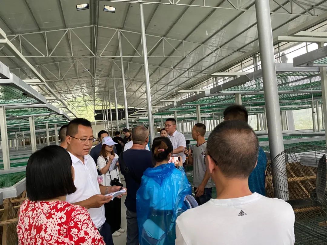 仪陇媒体记者,新闻记者体验农村生活