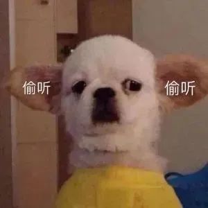 偷穿男朋友*裤内**？这也太羞耻了吧