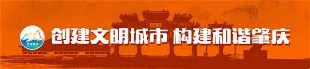 “雅居乐杯”2020年肇庆市足球联赛第二轮落幕，您支持的足球队……