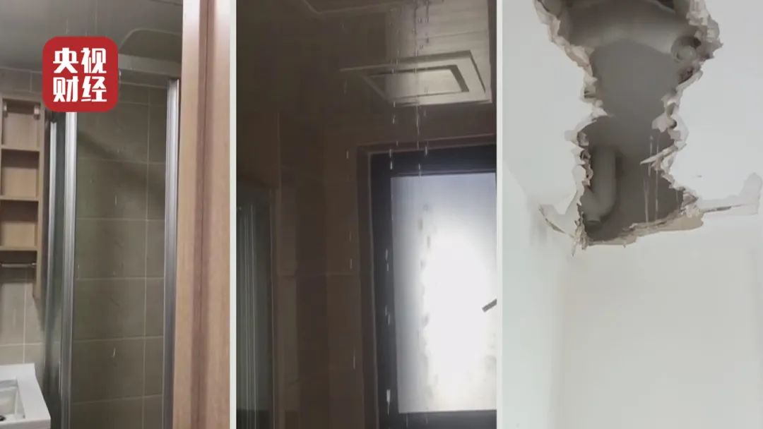 过期面包做汉堡、养海参放敌敌畏、旧袜子做毛巾……“3·15”曝光了这些企业