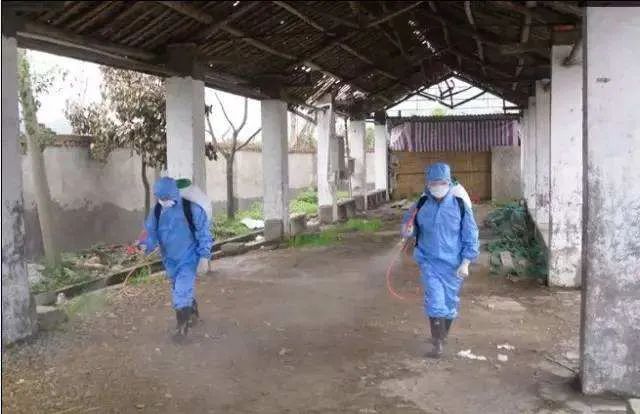 农业方面洪涝灾害应急预案,农作物管理防治洪涝灾害