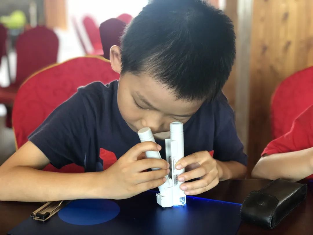 森林探险之旅的目的,神秘的雨林探险之旅