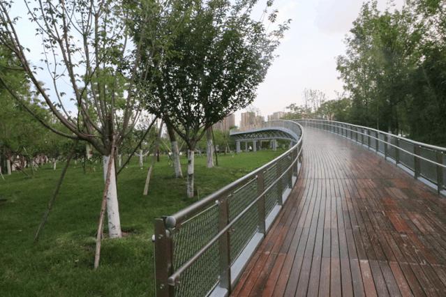 让足球爱好者的狂热,在曲江野蛮生长