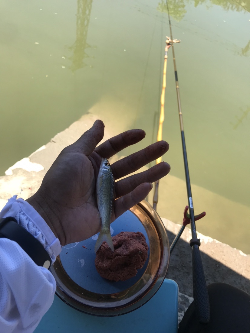 近水楼台先得“鱼”，一不小心成蟹老板