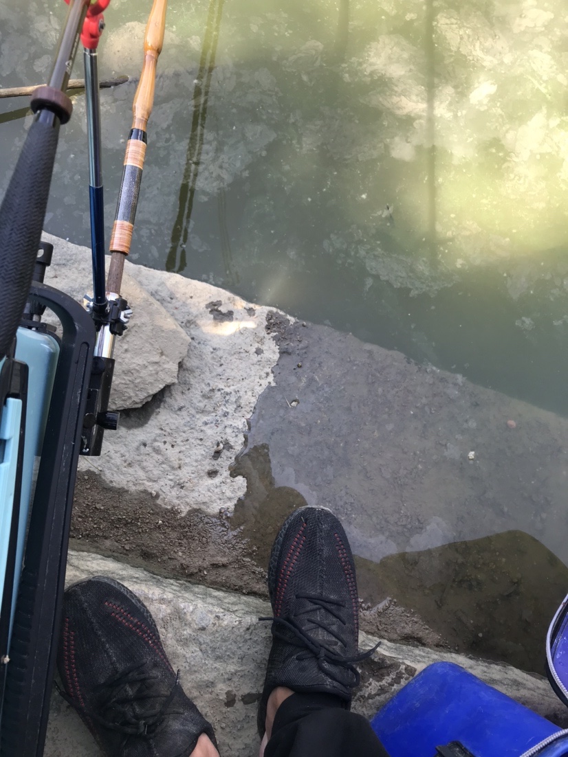 近水楼台先得“鱼”，一不小心成蟹老板