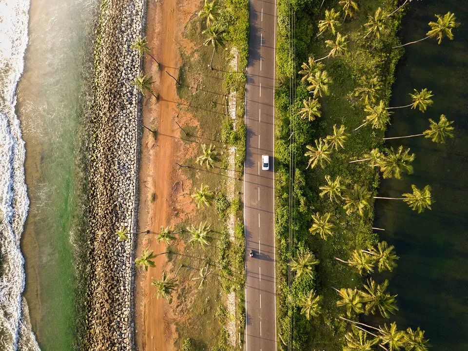 全世界最绿的50张照片