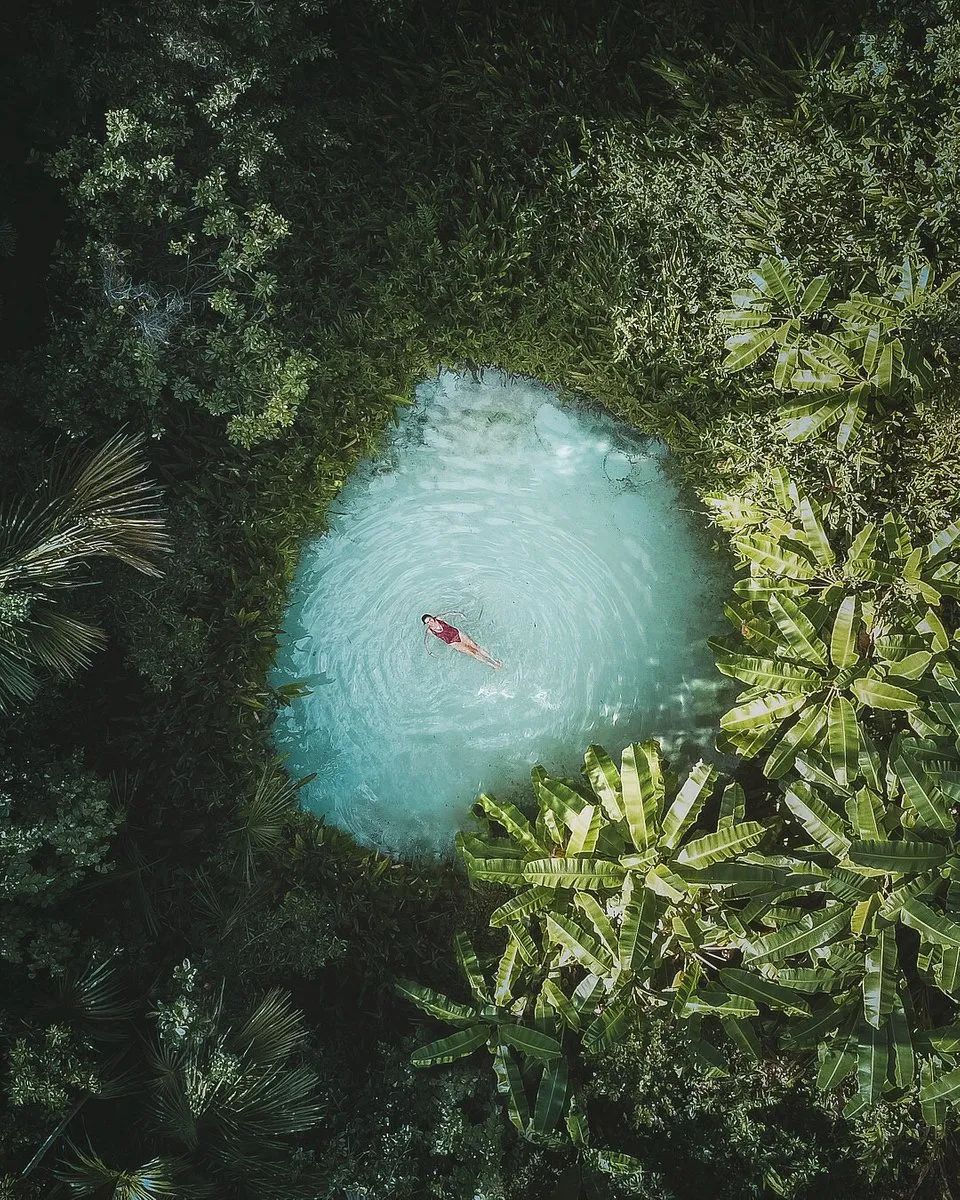 全世界最绿的50张照片