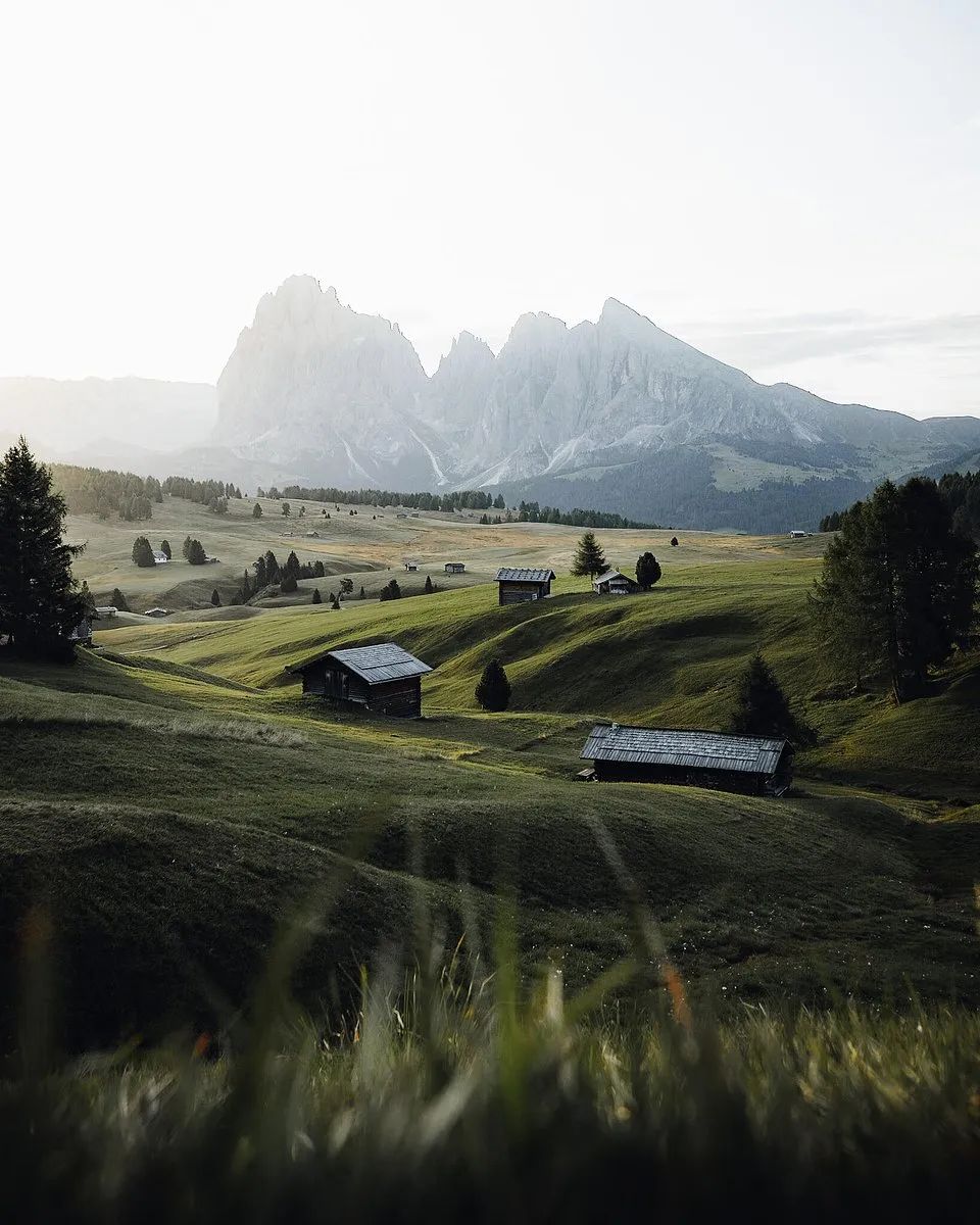 全世界最绿的50张照片