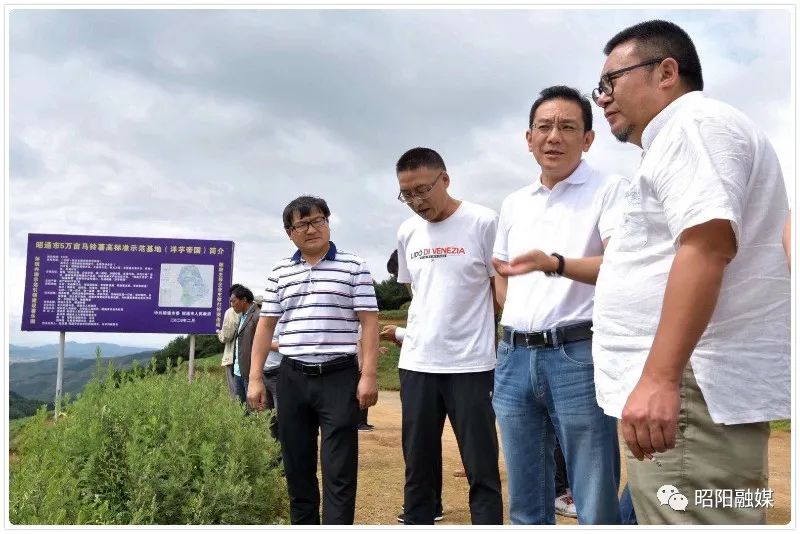 中国作家走进昭通采风活动,中国作家走进昭通