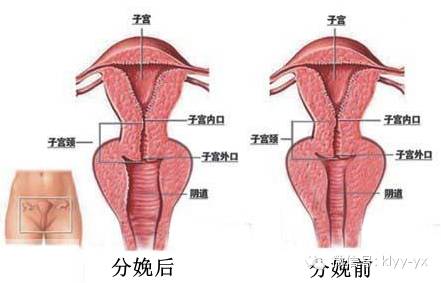 聪明的女人生孩子才会聪明,怎么关心一个刚生完孩子的妈妈