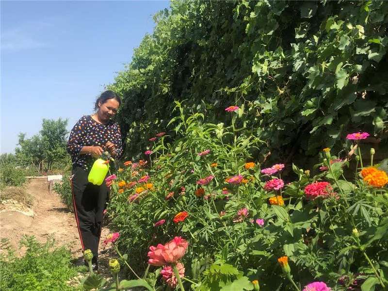 *疆新**轮台县生态搬迁：塔河沿岸绿了新居村民富了