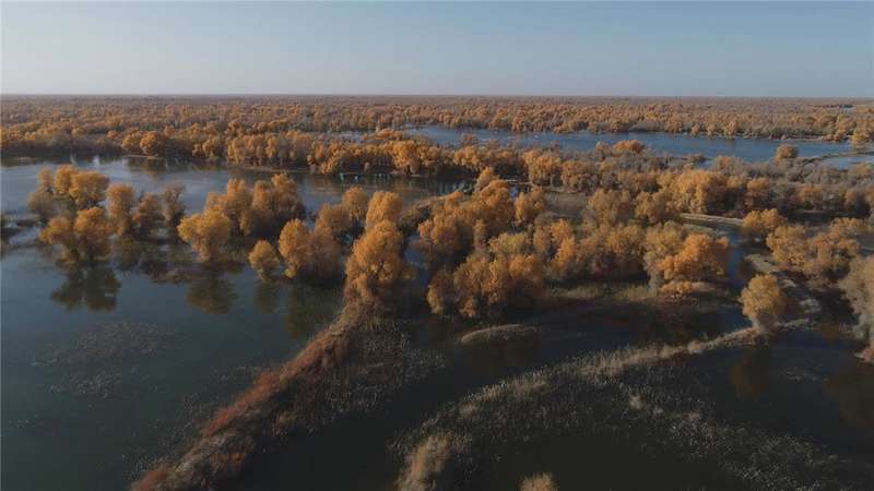 *疆新**轮台县生态搬迁：塔河沿岸绿了新居村民富了