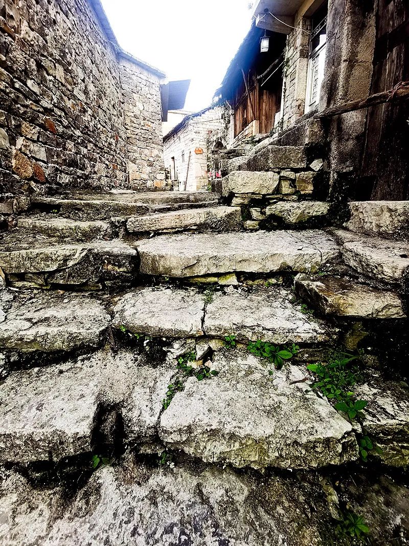 染了彼此乡愁，从此长途跋涉