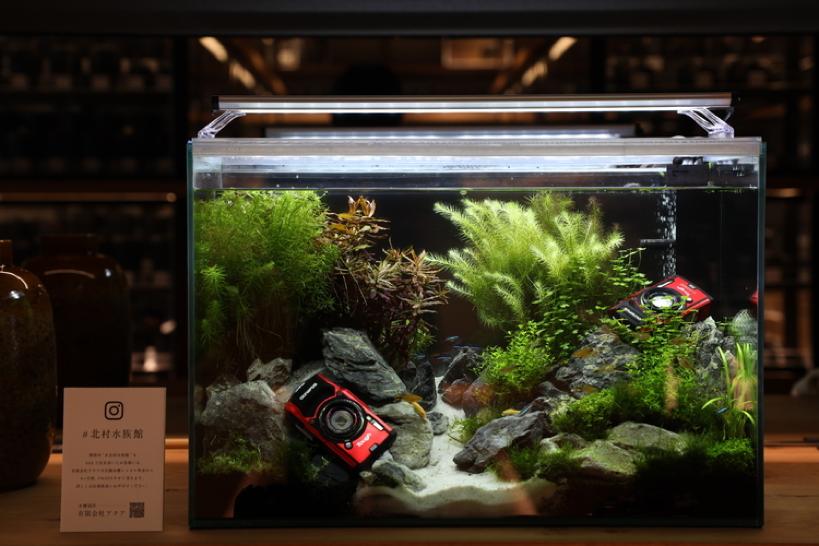 北村写真,北村摄影基地门票