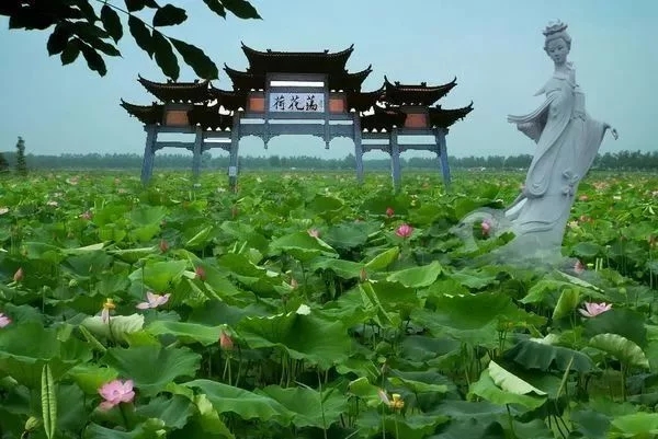 浣撻獙涓崕鏂囧寲涔嬬編,浣撻獙涓崕浼犵粺鏂囧寲榄呭姏