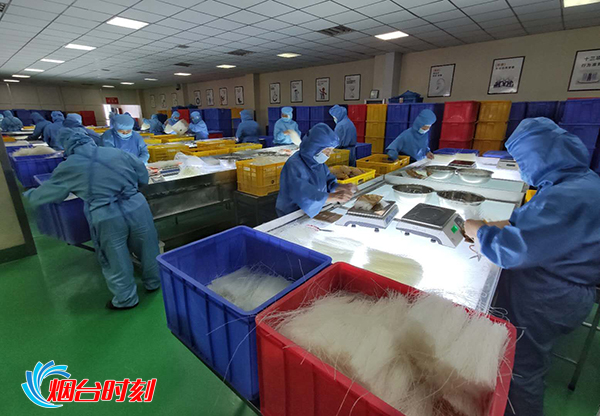 龙口粉丝传统制作技艺,百年老字号龙口粉丝