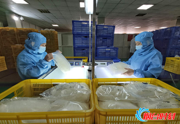 让吃龙口粉丝的人了解龙口粉丝,龙口粉丝传统制作技艺