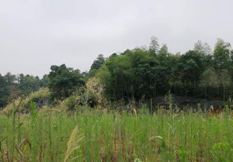 江西日报头版头条,江西日报报道共青