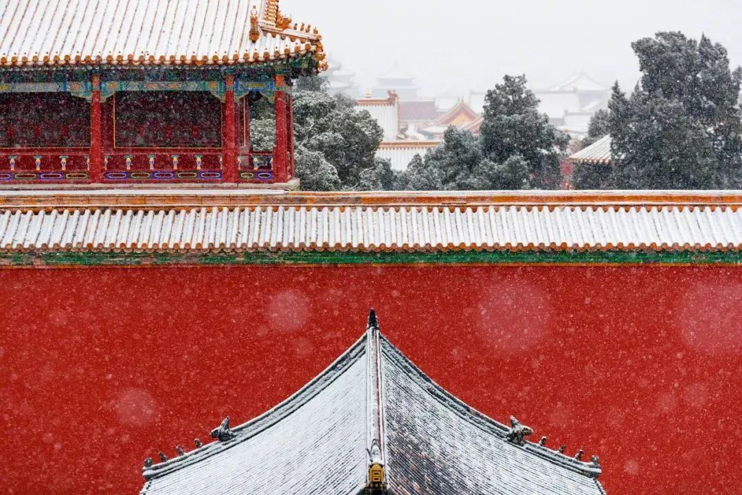 把故宫红、青花蓝捧在手心，以“银杯”畅饮