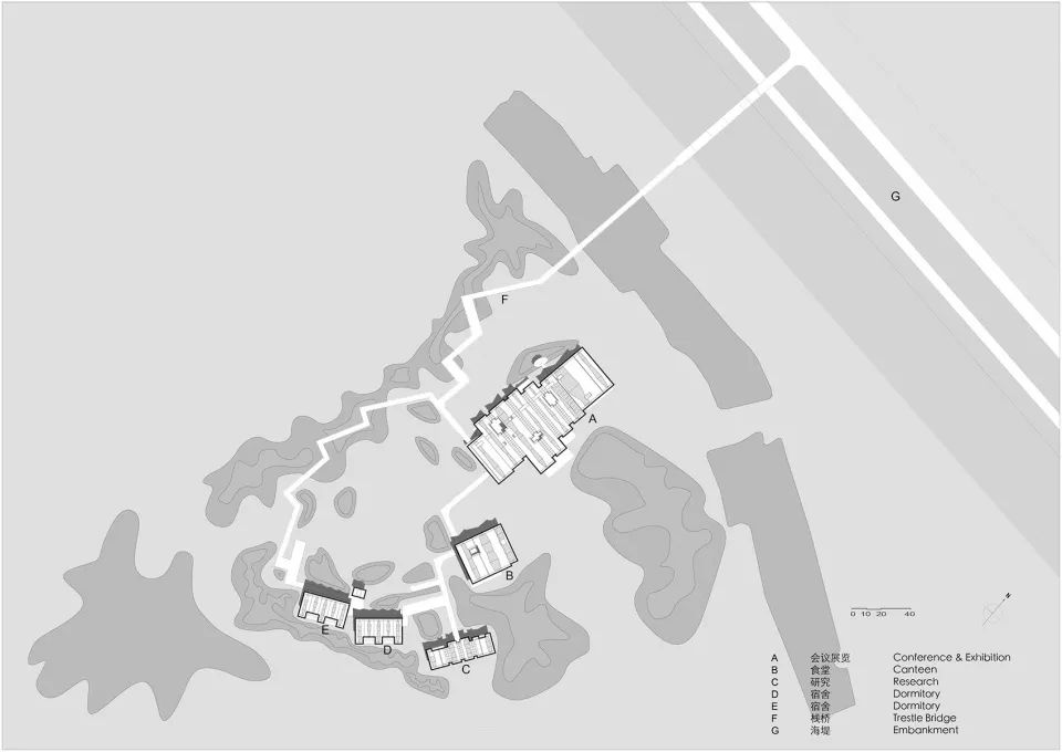 探索崇明东滩湿地公园的奥秘,崇明东滩湿地科研中心