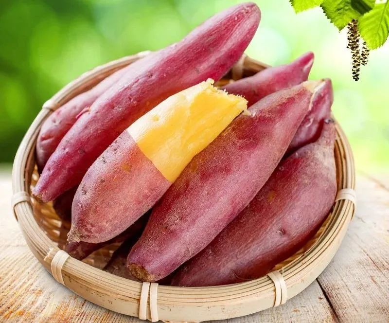 临安天目山小香薯粉糯香甜,天目山小香薯新鲜现挖