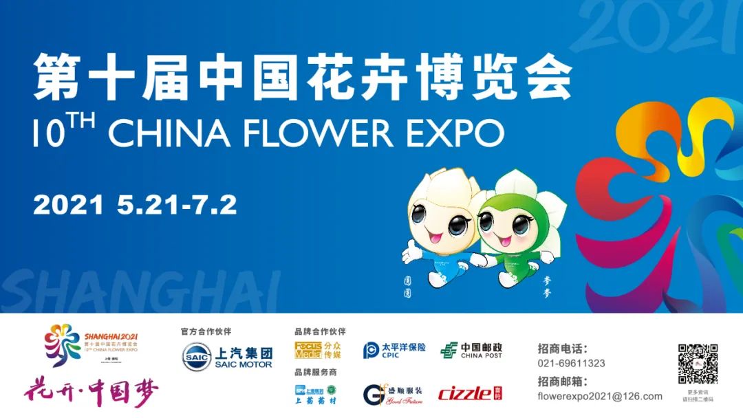 崇明岛比赛直播,上海崇明赛事视频