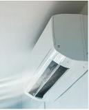 三伏天艾草熏后背多久熏一次,三伏天用艾草泡澡几天泡一次