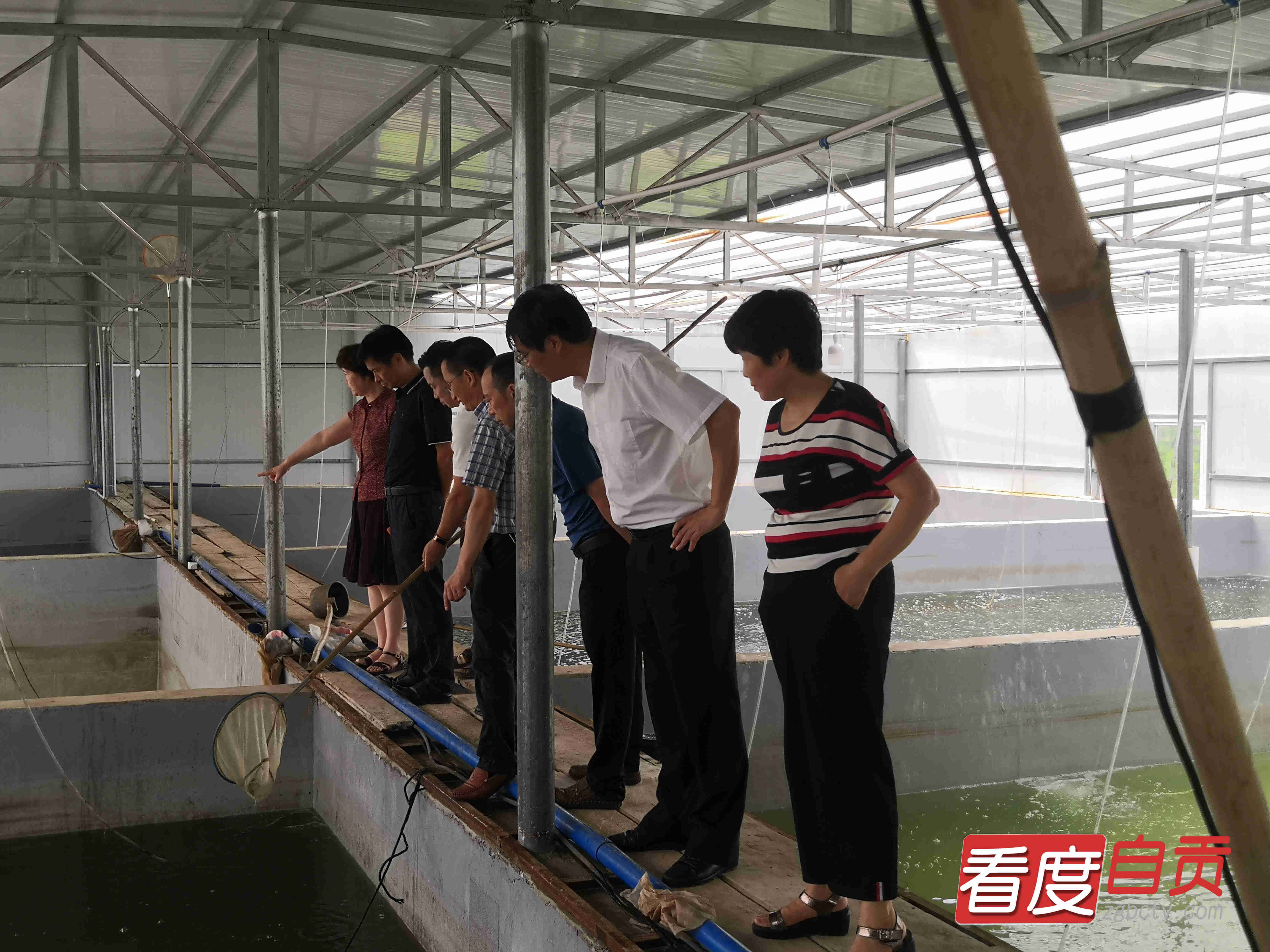 三区协调发展助民增收,三岔镇创新模式助农增收