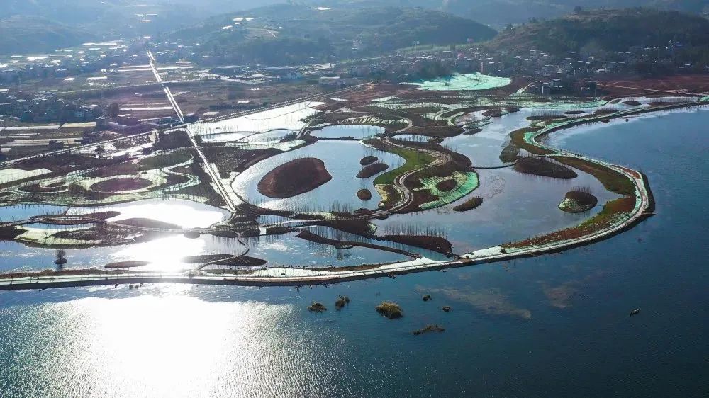 上半年经济指标完成情况通报,上半年经济呈现稳步向好发展