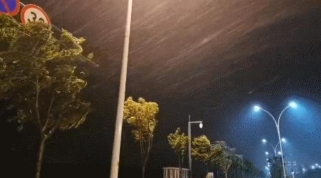 狂风巨浪，多地被淹！“黑格比”登陆了→