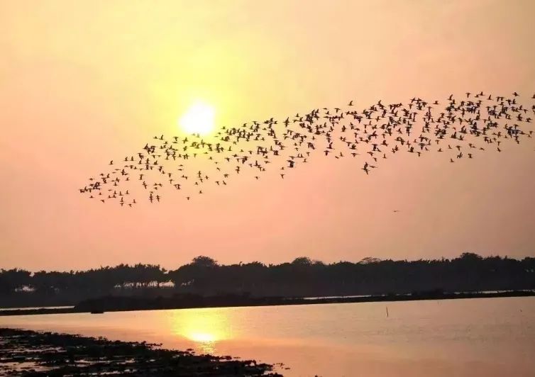 周末就能打卡的暑假超火亲子度假酒店，山林海景还有超大免费儿童乐园—广州南沙花园酒店亲子游记