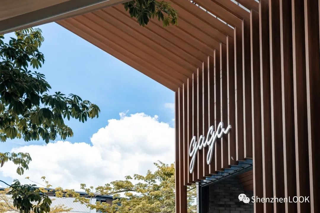 LOOK|欢乐海岸·第9年