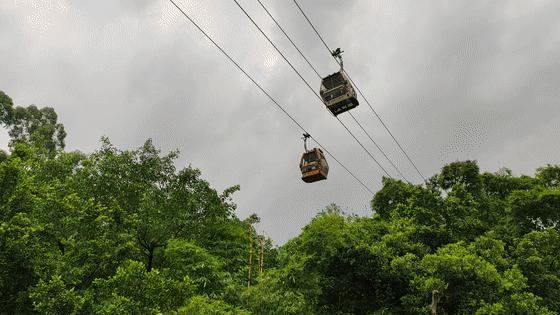 长隆乐园欢乐世界,广州长隆游玩注意事项