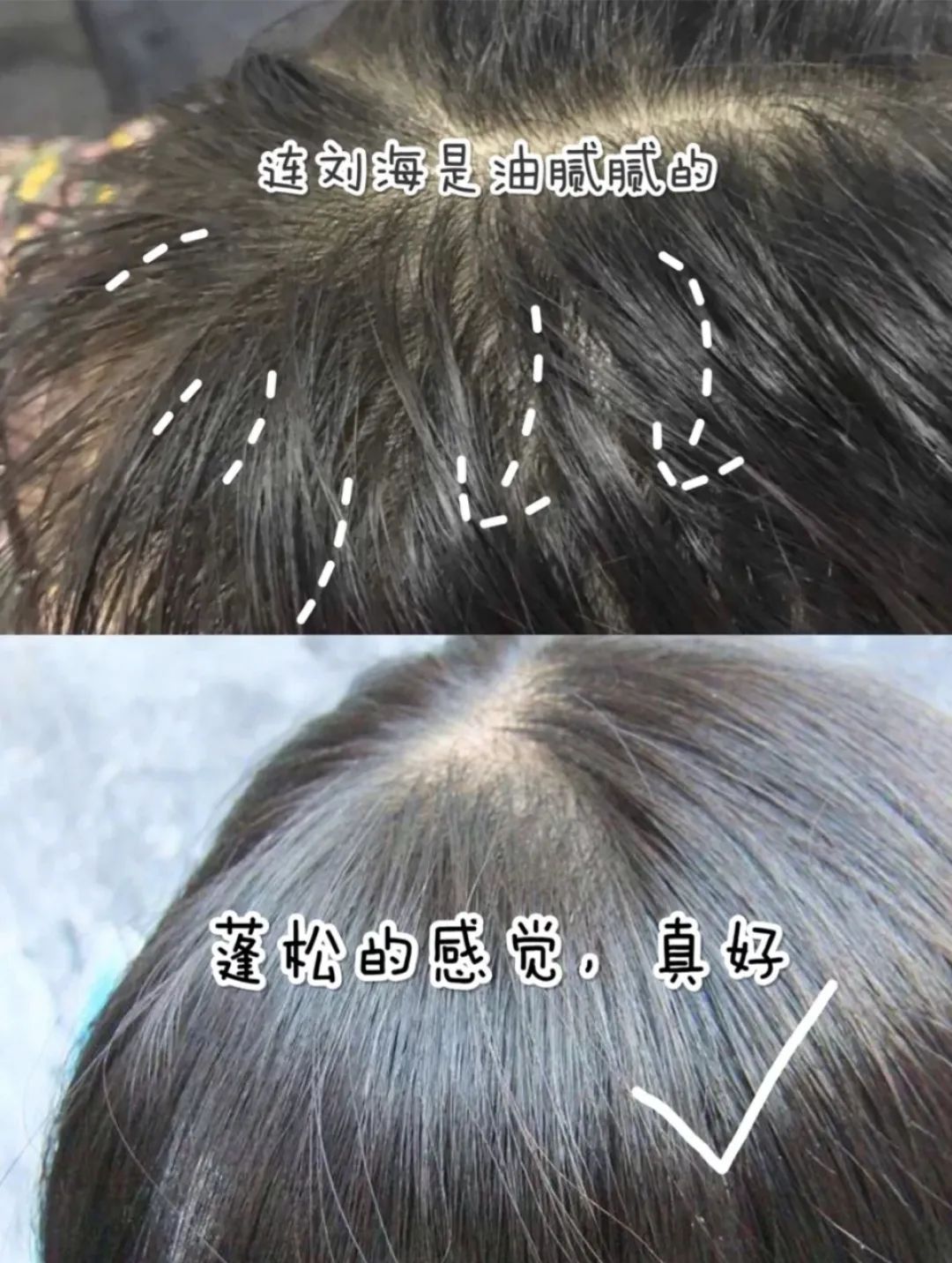 和猫咪接吻会怎么样,猫咪被亲了瞬间感觉不干净了