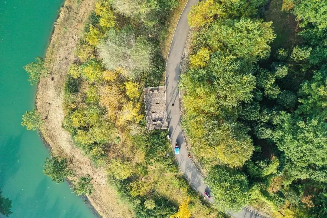 成都景点60岁以上免费门票,成都免费游玩景点推荐