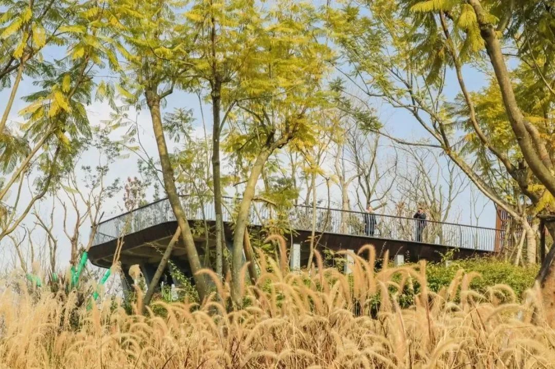 成都免费游玩景点推荐,成都景点免费门票一览表