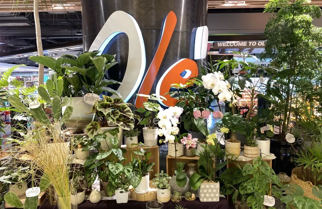 在魔都必逛的十二家进口超市,北京十大进口超市